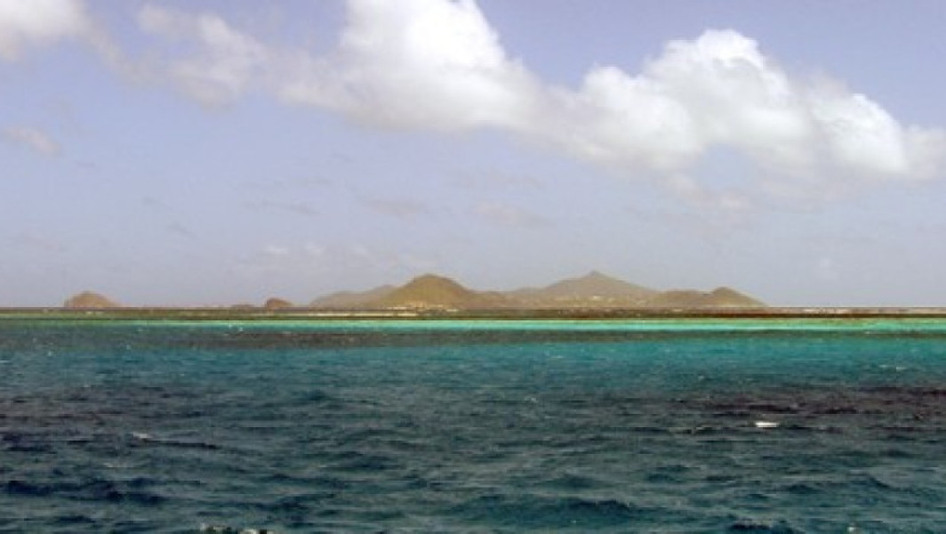 Image Description