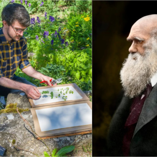 „Cel mai bun job din lumea naturală”: Un colecționar de semințe va pleca într-o aventură în jurul lumii pe urmele lui Charles Darwin
