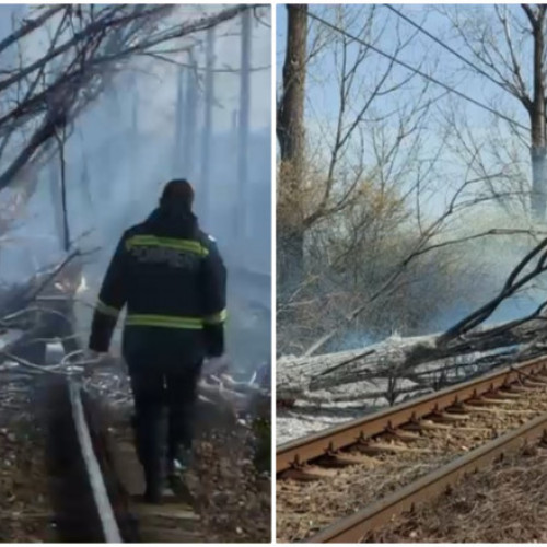 Traficul oprit între Valea Călugărească și Ploiești din cauza unui copac căzut pe calea ferată și un incendiu de vegetație. Oprește circulația trenurilor pe linia CF Ploiești Sud-Buzău.